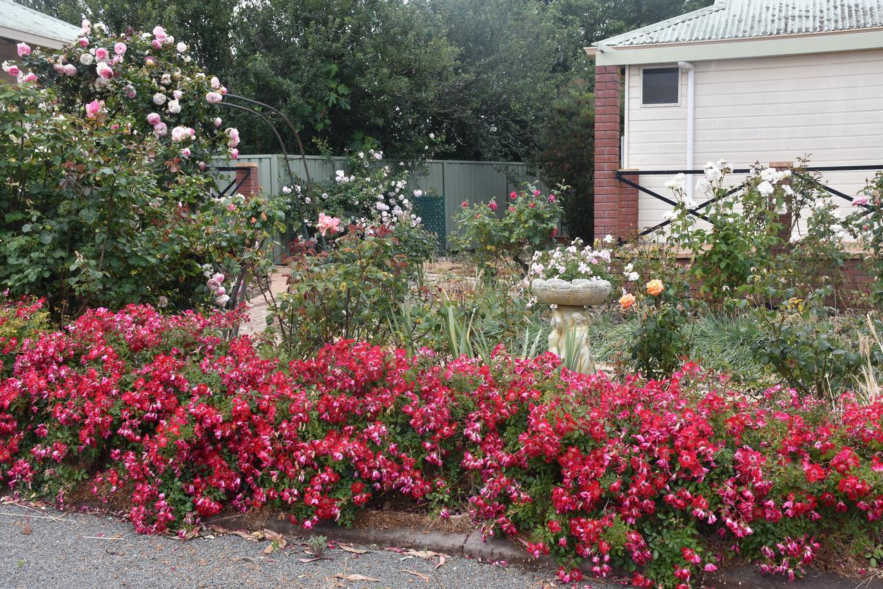 Mount Barker Valley Views Motel & Chalets, Western Australia Esterno foto
